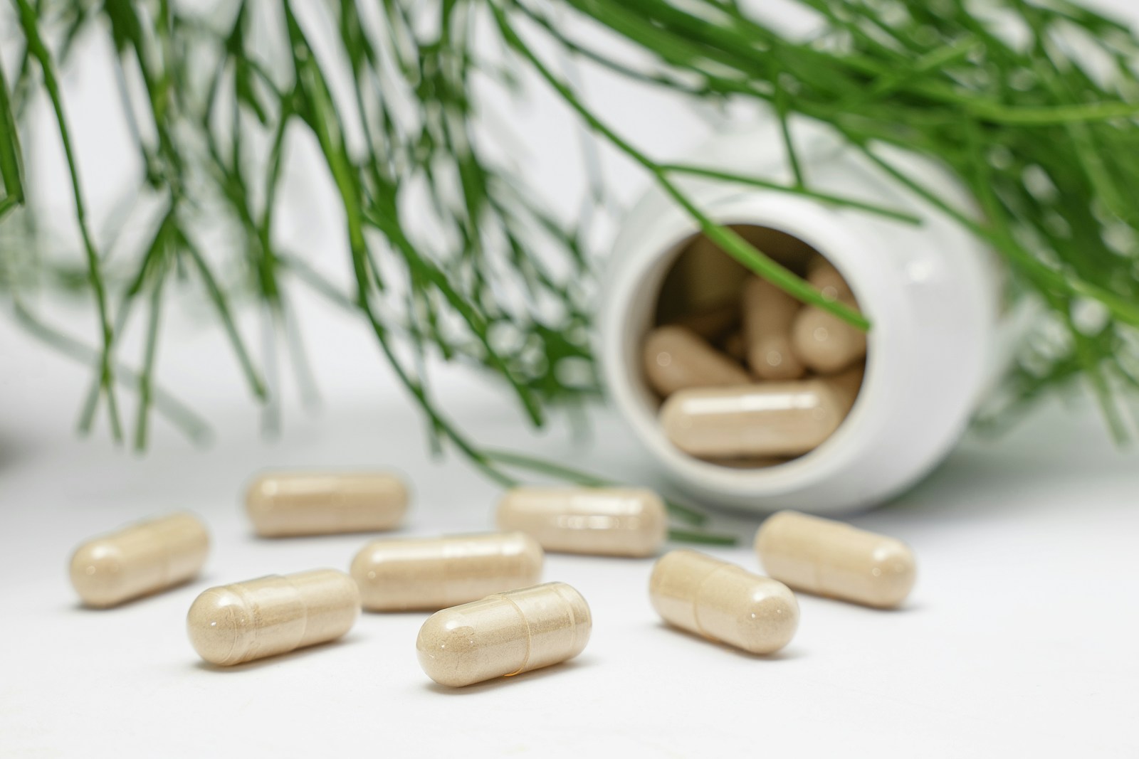 Kapsul herbal berwarna krem dari botol putih dikelilingi dedaunan hijau
